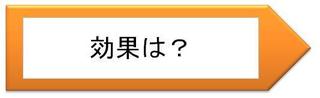 効果は?.jpg
